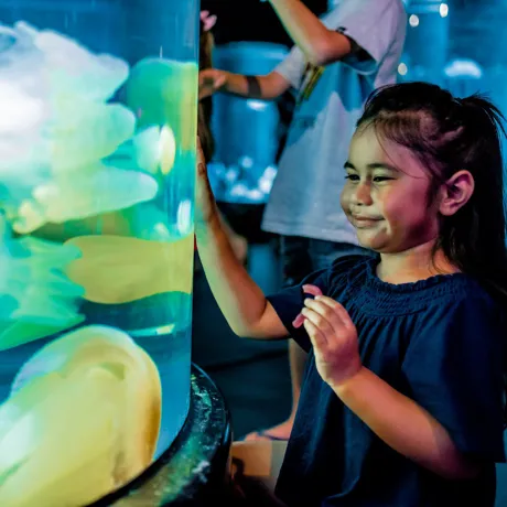 The kids and family will love the exhibits on offer at Sea Life Sydney Aquarium