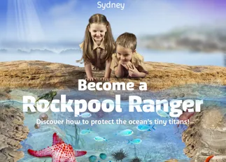 SL Rockpools Square 1080X1080px SLS
