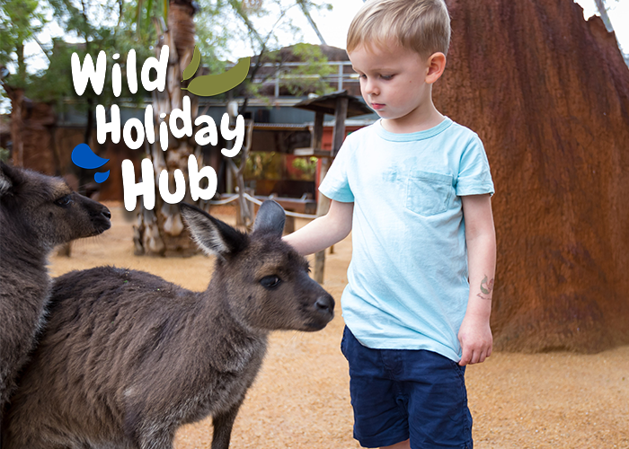 Wildlife holidays. Wild Life Sydney. Wilderness Holiday advertisement. Wilderness Holiday ads.