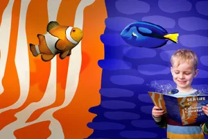 SLS Colourfulcreatures Frontpagehero 1920X1080pxjpg