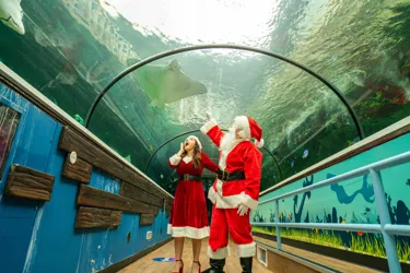 Christmas Experience Gift Ideas in Sydney