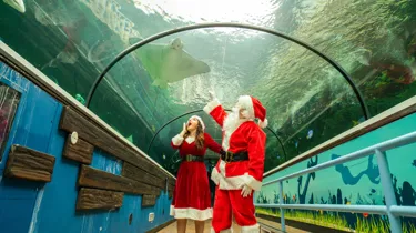 Christmas Experience Gift Ideas in Sydney