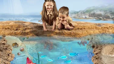SLS Rockpools KV Square Nocopy (1)