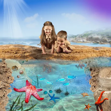 SLS Rockpools KV Square Nocopy (1)