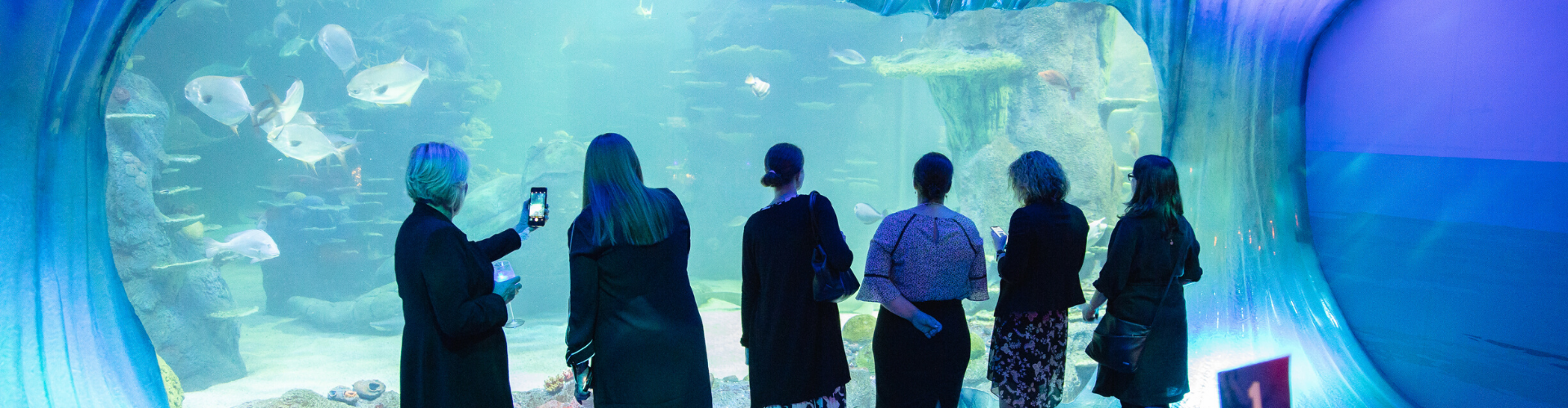 Corporate Events Sea Life Sydney Aquarium
