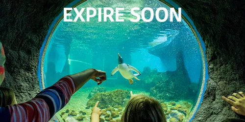 DISCOVEREXPIRESOON2