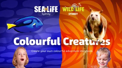 CLUSS Colourfulcreatures Landingmodule 1400X1000