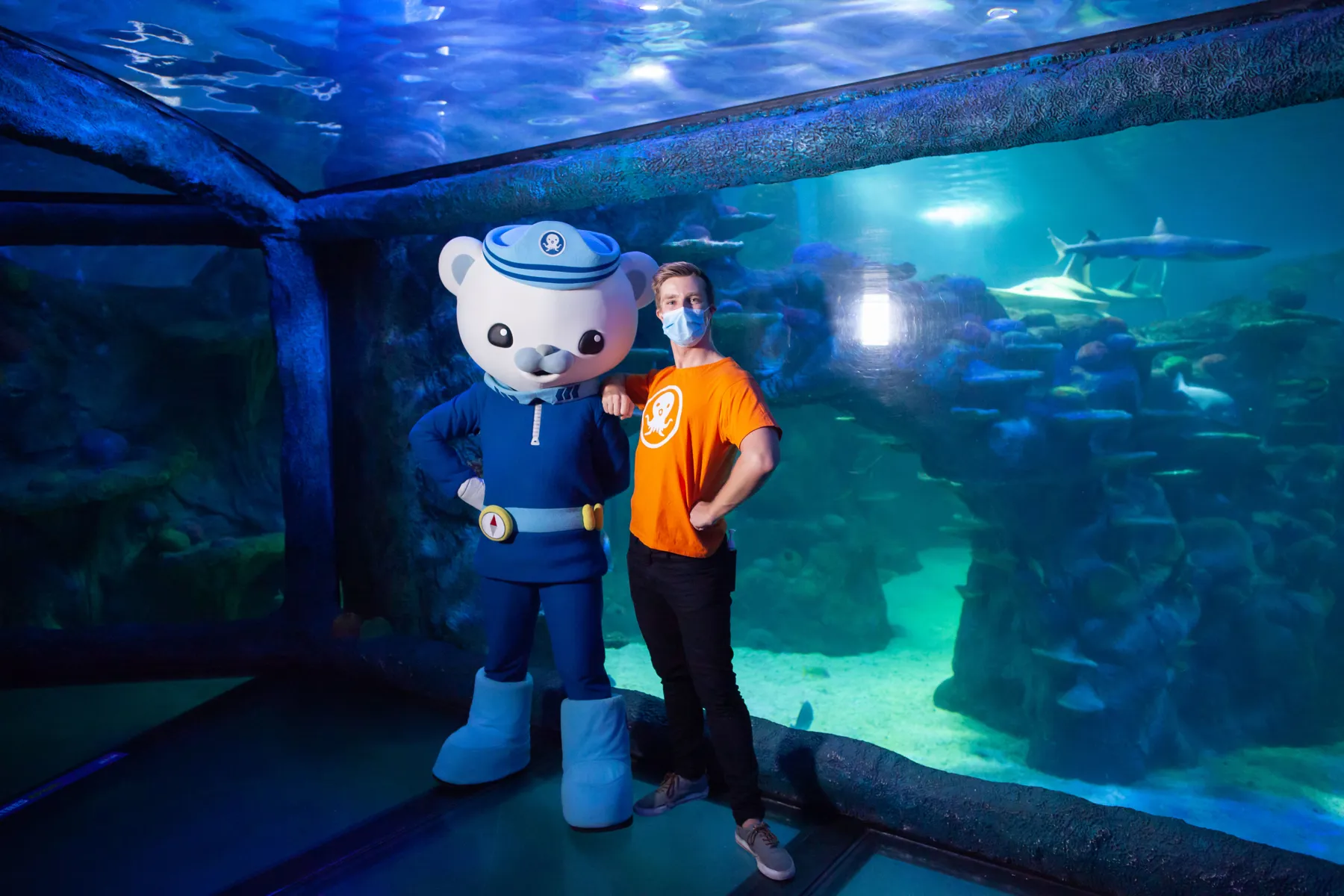 Octonauts at SEA LIFE Sydney Aquarium