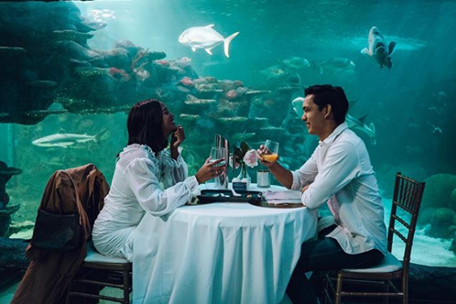 a couple taking a romantic instagram photo at SEA LIFE’s private dining location.