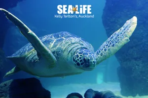 NZ Attraction Image (1)