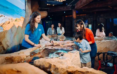 00002 SLSA Rockpool Ranger 2025 [USE GLOBAL] [EXP INPERP] Mum And Son With Aquarist