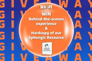 WIN Behind The Scenes Experience & Hardcopy Of Our Spengic Resource (1)