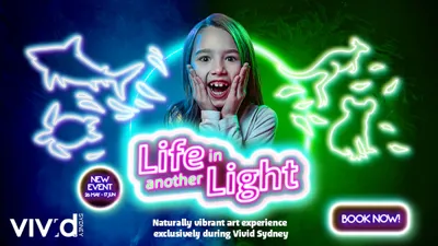 SLWL Vivid EDM 600X338px