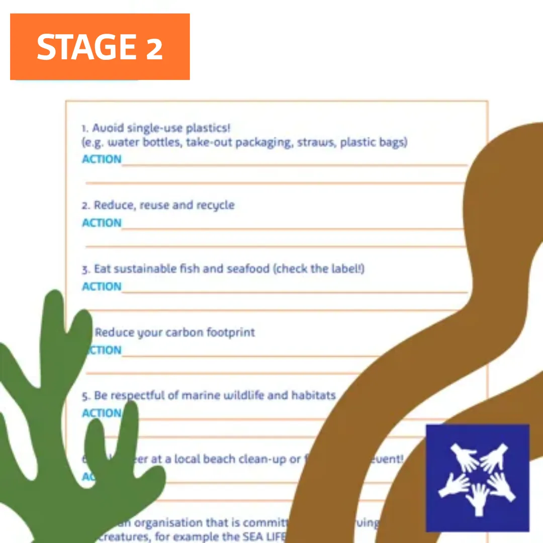 S2 Sustainable Manifestos