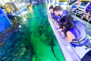 Glass Bottom Boat 3
