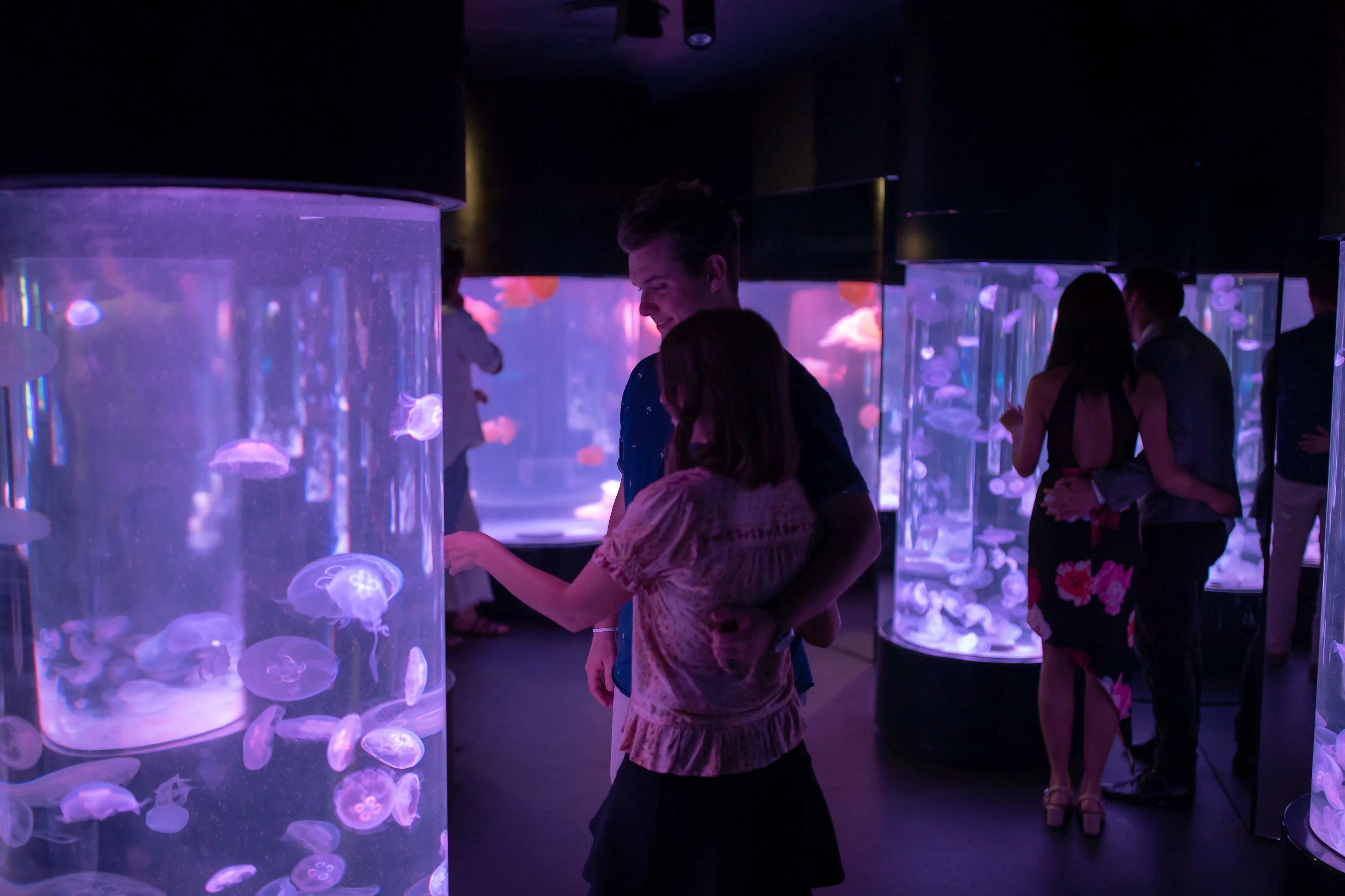 Sea Life Sydney | Best Valentine's Day Date Ideas | Underwater Enchantment