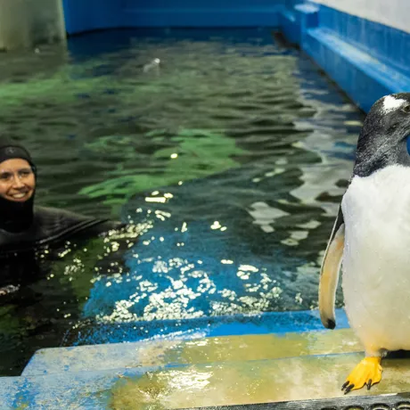Goose With Penguin Supervisor, Renee Howell SEA LIFE Sydney Aquarium