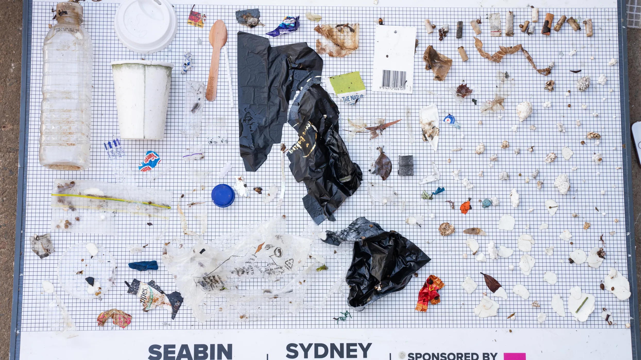 New floating seabin in Sydney Harbour SEA LIFE Sydney Aquarium