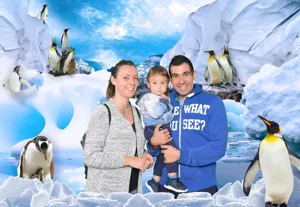 SLS Penguins