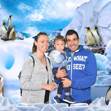 SLS Penguins