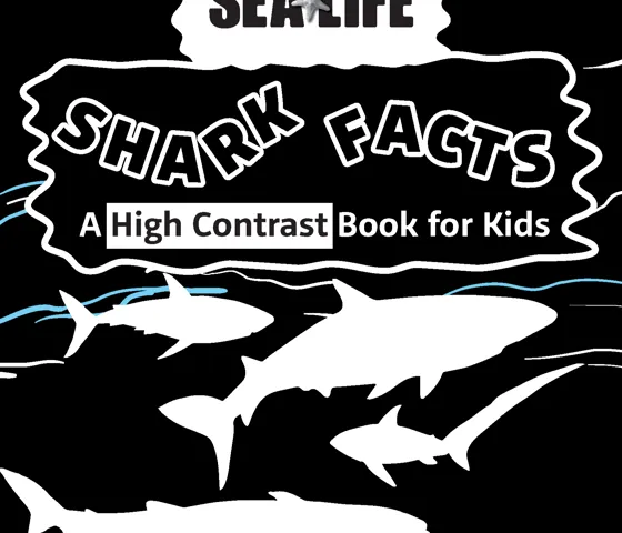 Sharkfacts Bookweek Highcontrast02