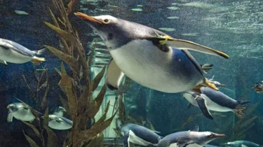 Rainy Day Activities for kids