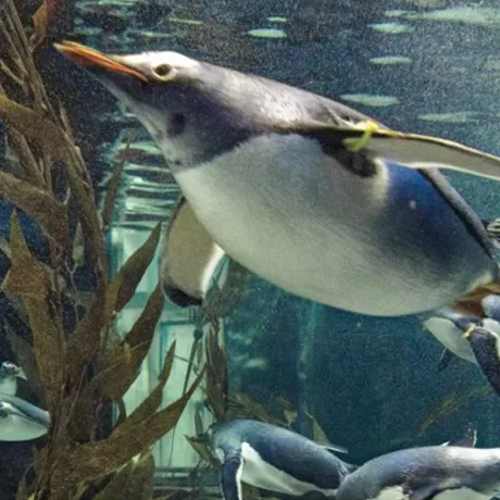 Rainy Day Activities for kids