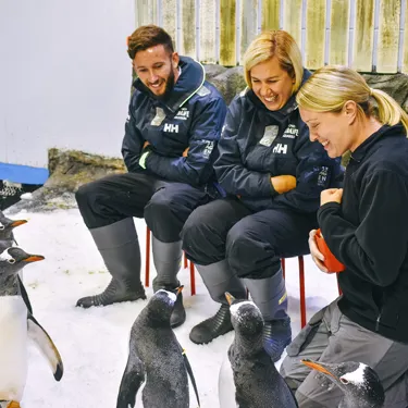 Penguin Passport (1)