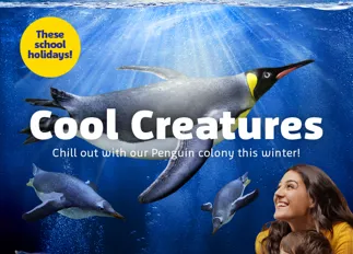 Coolcreatures Whatson 700X700px SLS