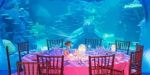 Fun dining experience in Sydney with Aquarium Group Dining for friends, colleagues and family at SEA LIFE Sydney