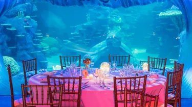 Fun dining experience in Sydney with Aquarium Group Dining for friends, colleagues and family at SEA LIFE Sydney