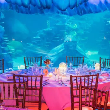 Fun dining experience in Sydney with Aquarium Group Dining for friends, colleagues and family at SEA LIFE Sydney