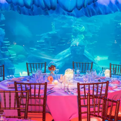 Fun dining experience in Sydney with Aquarium Group Dining for friends, colleagues and family at SEA LIFE Sydney