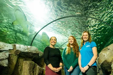 Clinical Psychologist Gemma Cribb Mermaid Hannah Moy And Aquarist Emma Mather2