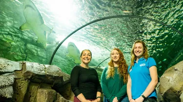 Clinical Psychologist Gemma Cribb Mermaid Hannah Moy And Aquarist Emma Mather2