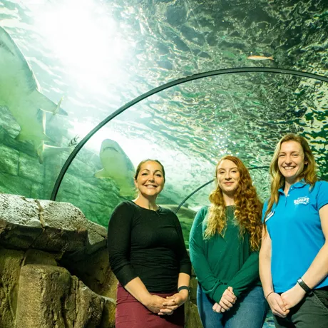 Clinical Psychologist Gemma Cribb Mermaid Hannah Moy And Aquarist Emma Mather2