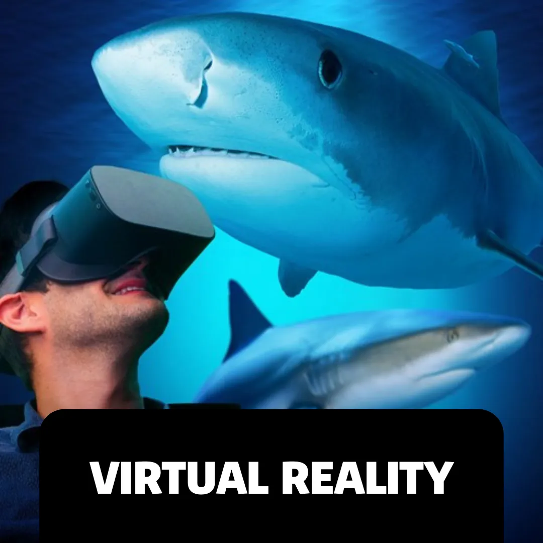 Accessibility Webpage Images VR