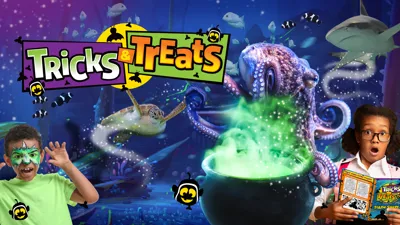 Tricks and treats