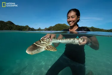 Nationalgeographic 2804841 1536X1024