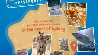 Auspassport WLS Newsblock 450X442px