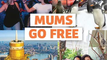 Cluss MUMS GO FREE