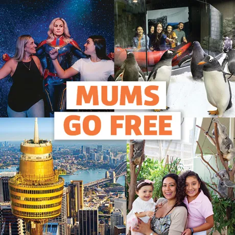 Cluss MUMS GO FREE