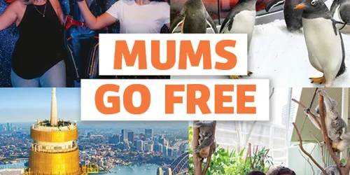 Cluss MUMS GO FREE
