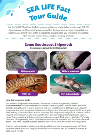 Teacher tour guide - shipwreck page