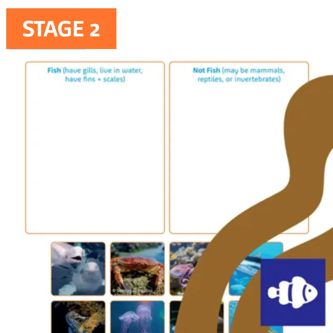 S2 Are All Sea Creatures Fish