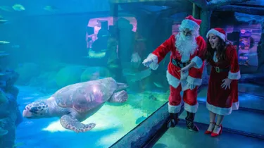Mr&Mrsclaus Sealifesydney1