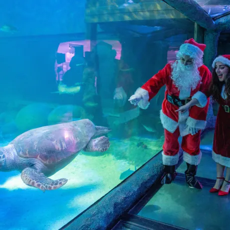 Mr&Mrsclaus Sealifesydney1