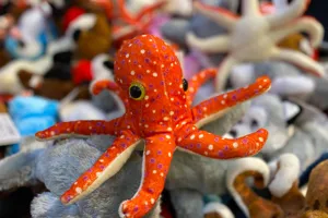 Octopus Rockpool Retail