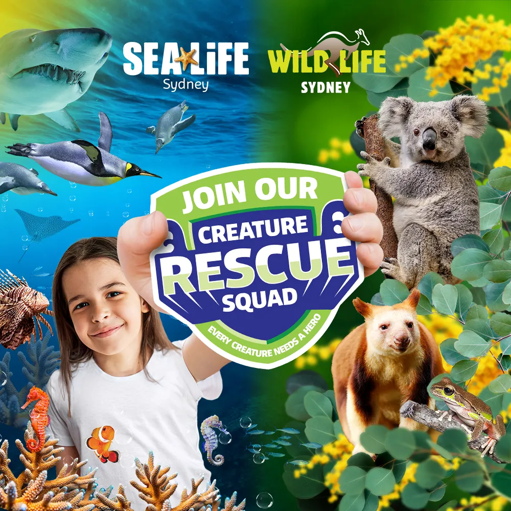 SLWL Rescuesquad Eventpage 1000X1000px