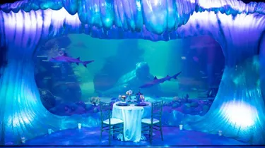 Function and events hire for any occasion at SEA LIFE Sydney under the sea